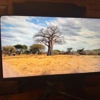 Monitor Samsung 24” 144hz