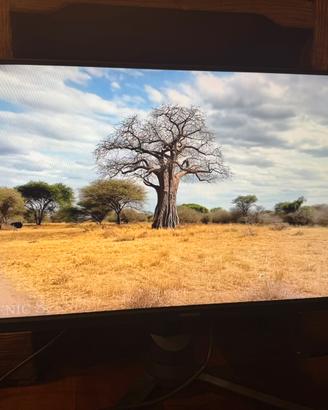 Monitor Samsung 24” 144hz