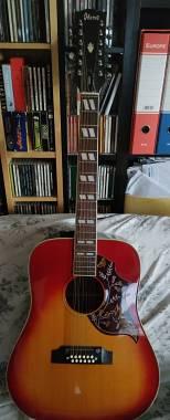 Chitarra 12 Corde Ibanez