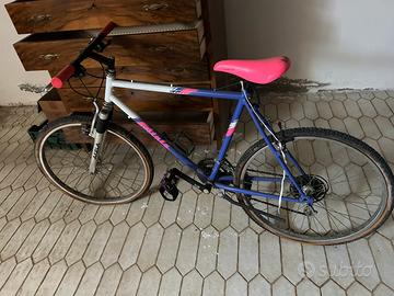 bicicletta