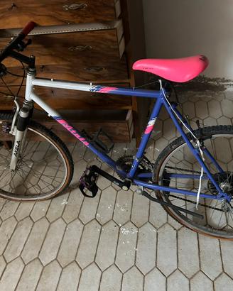 bicicletta
