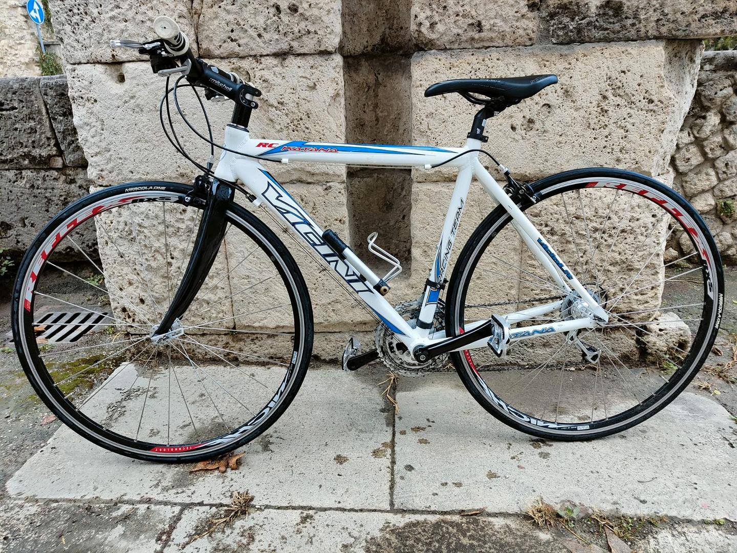 Bicicletta Vicini Katana Biciclette In vendita a Ascoli Piceno