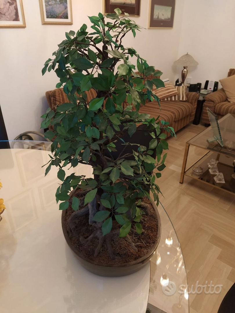 Bonsai Finto Realistico Di Alta Qualità - Arredamento e Casalinghi In  vendita a Venezia