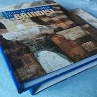 Viaggio in Terra di Brindisi. Adda Editore