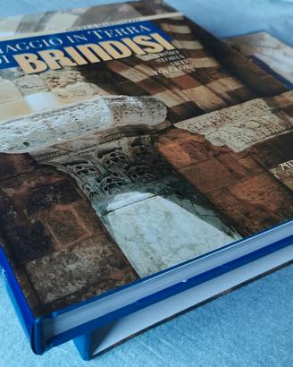 Viaggio in Terra di Brindisi. Adda Editore