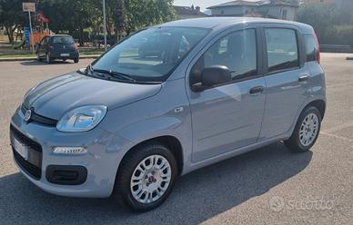 FIAT PANDA GPL 1.2 easypower s&s 69cv