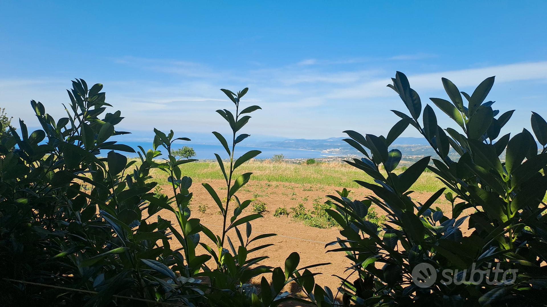 Casale - Vista 4