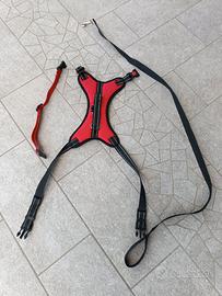 Collare, pettorina e guinzaio