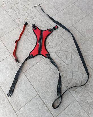 Collare, pettorina e guinzaio