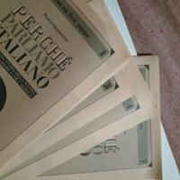 raccolta de il giornale