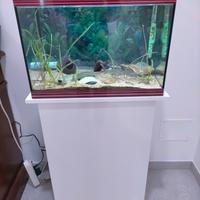 Acquario 68 LT.  marca Askoll 