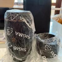 Sigma 105 mm F2.8 EX DG Macro OS – Obiettivo