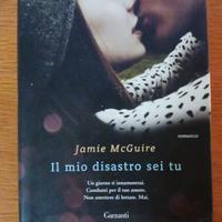 il mio disastro sei tu - jamie mcguire