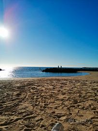 Trilocale centralissimo (da settembre a maggio)