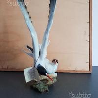 Porcellana hutschenreuther