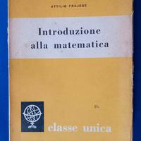 libro: introduzione alla matematica