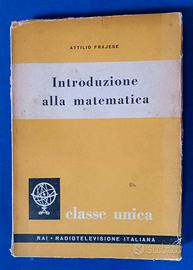 libro: introduzione alla matematica