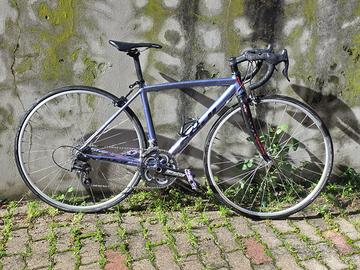 Bici strada Fuji Roubaix