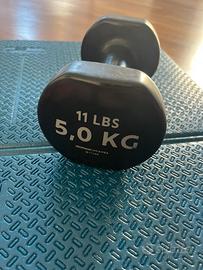 Due Manubri da 5 kg