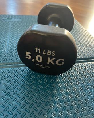 Due Manubri da 5 kg