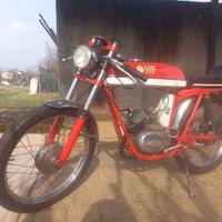 DEMM HF 1972