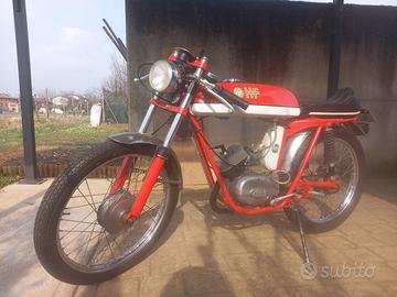 DEMM HF 1972
