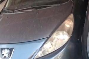Peugot 207