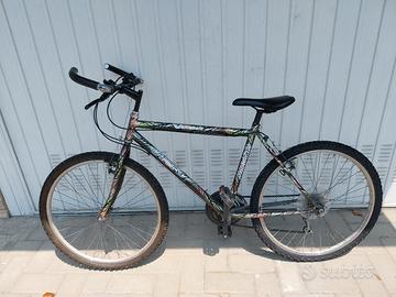 bicicletta  cerchio 26