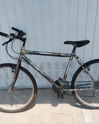 bicicletta  cerchio 26