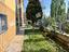 Immagine 19