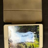Ipad mini 5