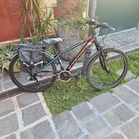 bicicletta da ragazzo