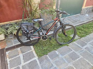 bicicletta da ragazzo