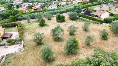 TER. RESIDENZIALE A BRACCIANO