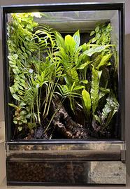 Terrario 35 x 35 h 50