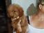 Immagine 4