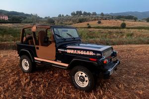 Jeep wrangler 2.5 ASI perfetta