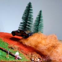 Diorama artigianale Rally 