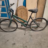bici donna