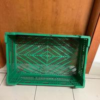 Cassette per ortaggi e frutta