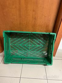 Cassette per ortaggi e frutta
