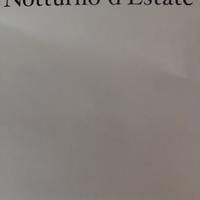 stampa "Notturno d'estate"