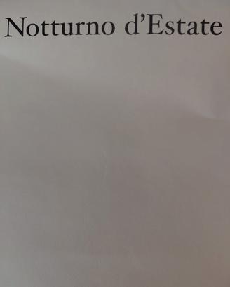 stampa "Notturno d'estate"