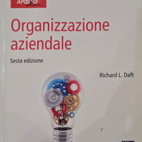 Organizzazione Aziendale Richard L. Daft