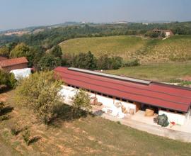 Azienda con stalle per allevamento capre