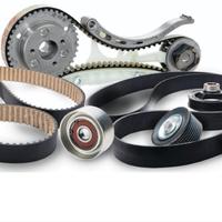 Cinghie Distribuzione 