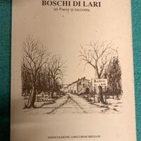 Boschi di Lari un paese si racconta