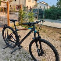 bicicletta megamo
