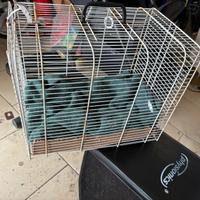 Trasportino cane gatto a gabbietta aperta