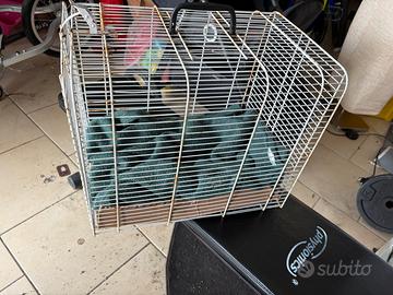 Trasportino cane gatto a gabbietta aperta